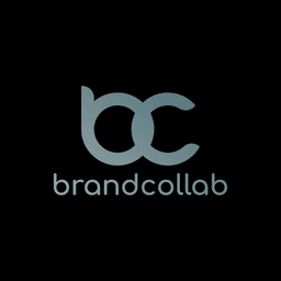 BrandCollab - B2B influencer marketplace