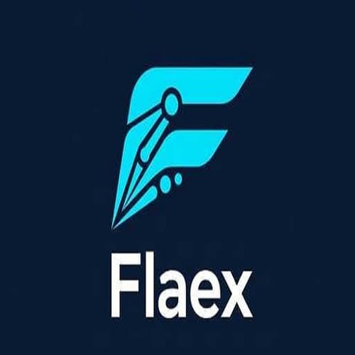 FLAEX AI screenshot 1