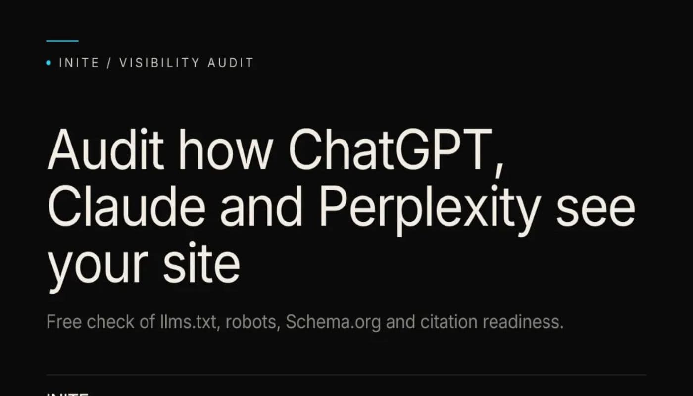 AI Visibility Audit screenshot 1