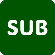 AI Video Subtitler