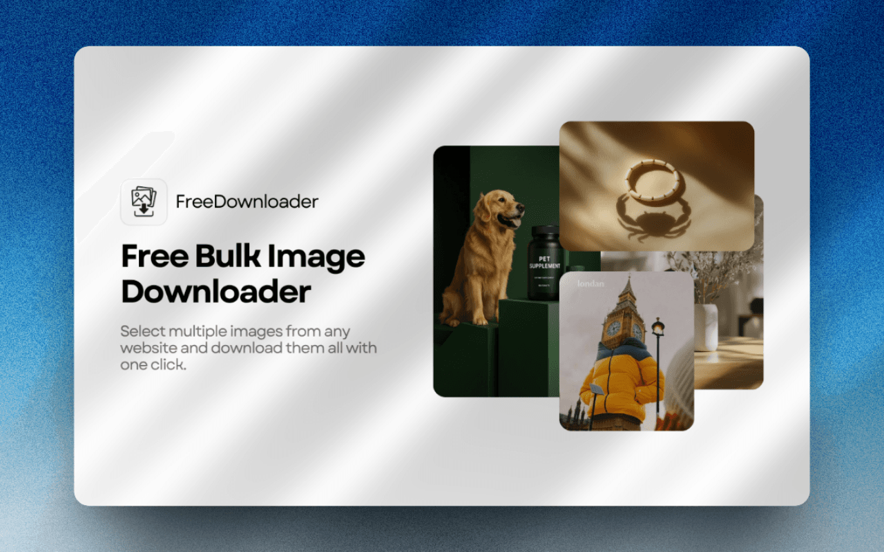 Free Image Bulk Downloader screenshot 1