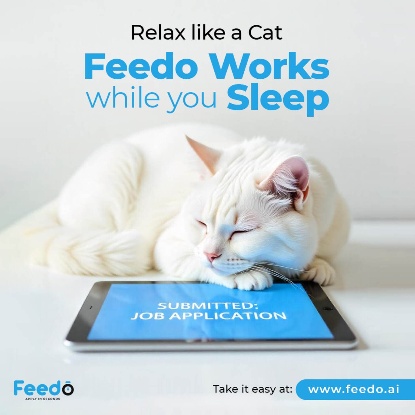 Feedo screenshot 1
