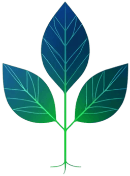 Nuvoria