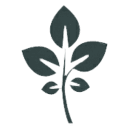GrapeVine Social GrapeVine Social