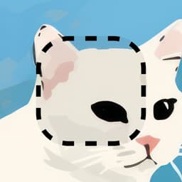 CatDoes CatDoes