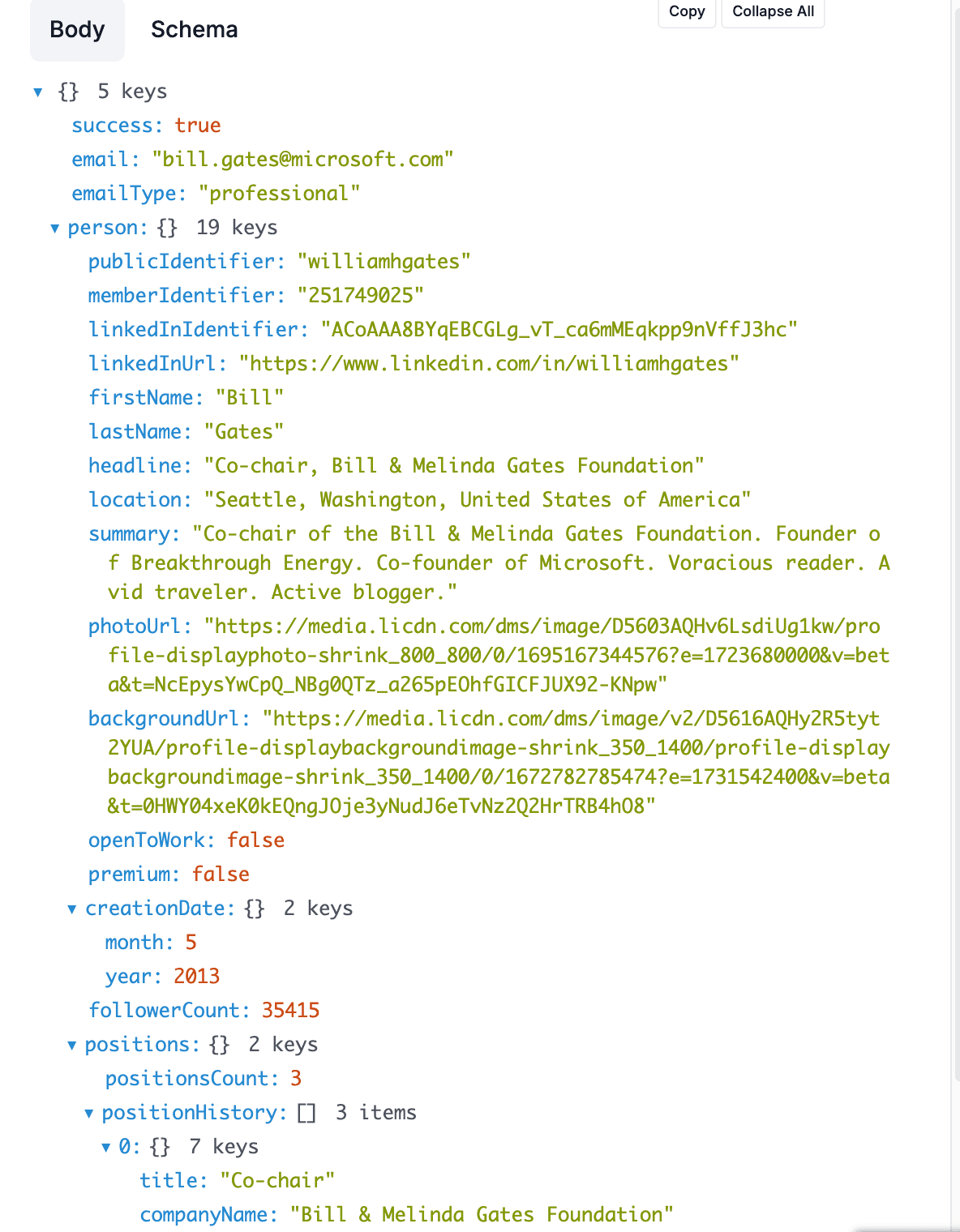 Linkedin API Linkedin API screenshot 1