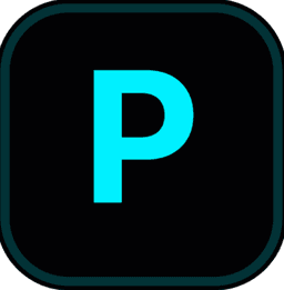 Payflo Payflo