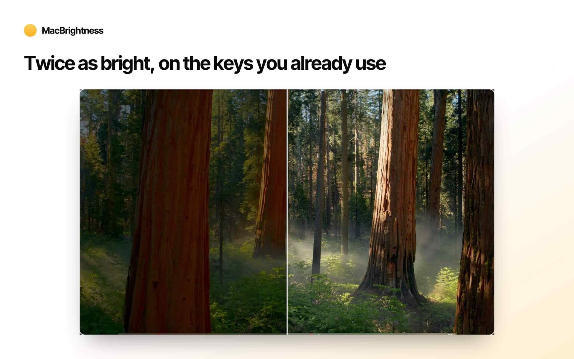 MacBrightness MacBrightness screenshot 1
