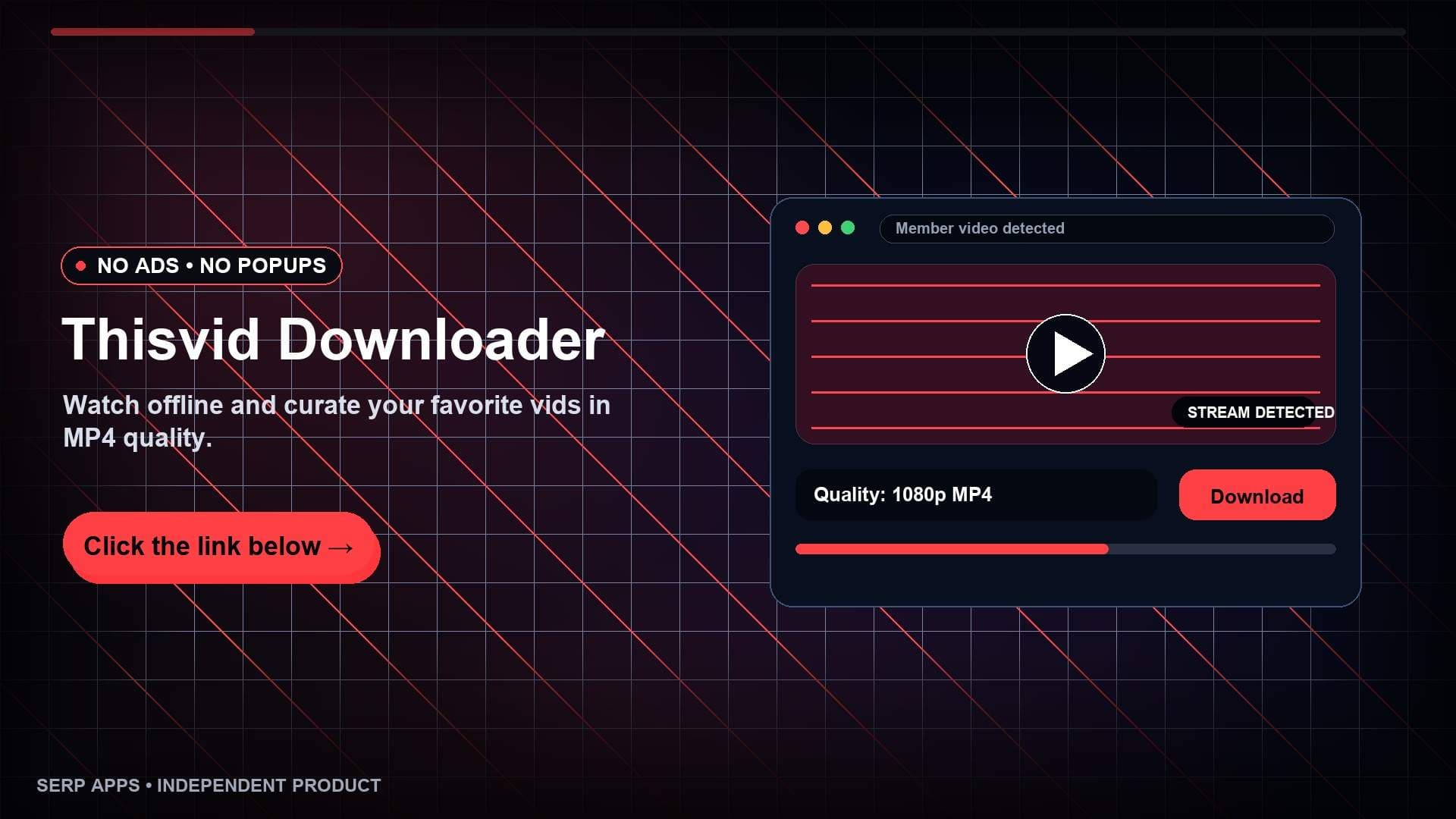 ThisVid Video Downloader ThisVid Video Downloader screenshot 1